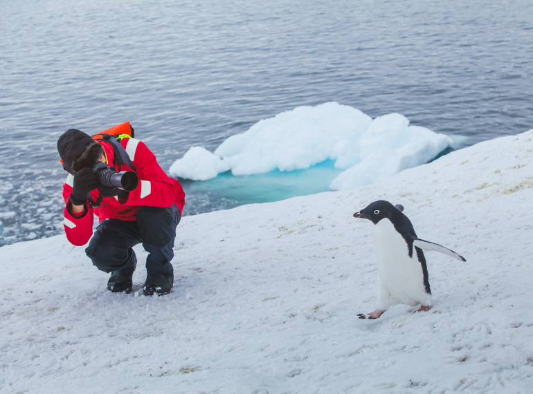 Antarctic Peninsula, Towering view of Glaciers and Landscapes
